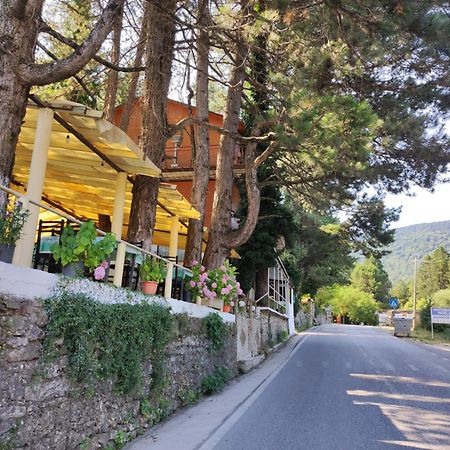 Hotel Toni Llogora Dukat Exteriör bild